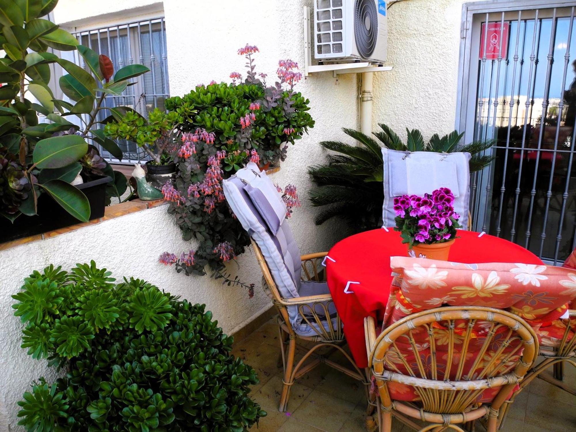 Apartemento Monika Monte Pedrera C 4 Top Aussicht Дения Экстерьер фото